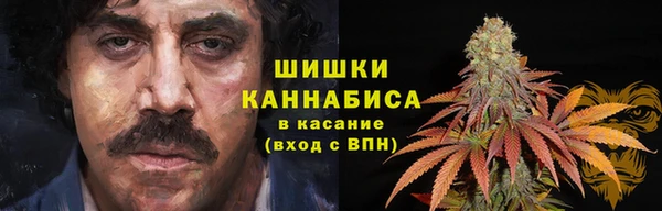 Альфа ПВП Белокуриха
