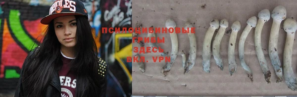 прущая мука Беломорск