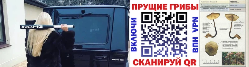 Псилоцибиновые грибы GOLDEN TEACHER  Козьмодемьянск 